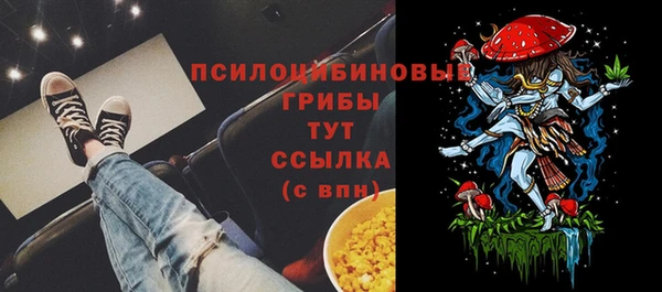 PSILOCYBIN Абинск