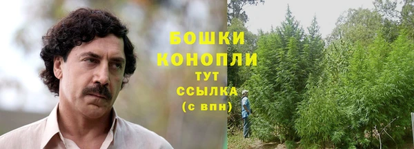 PSILOCYBIN Абинск