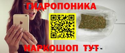 дмт Шебекино