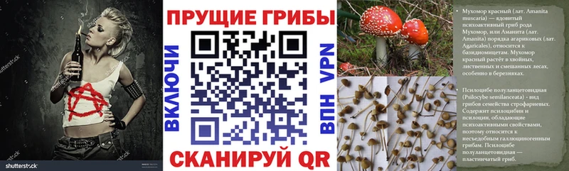 Галлюциногенные грибы MAGIC MUSHROOMS  блэк спрут ссылка  Раменское 