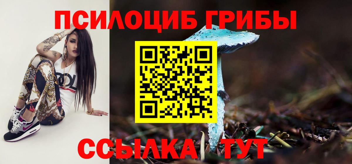 Псилоцибиновые грибы Psilocybine cubensis  Псилоцибиновые грибы мухоморы  Раменское  Вход с VPN 